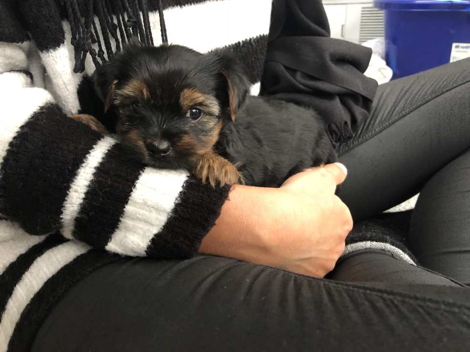 photo by Katherine W.