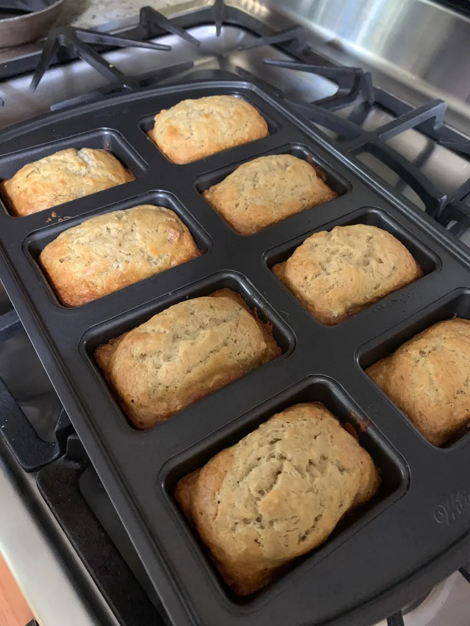 photo by mickeygonzalez