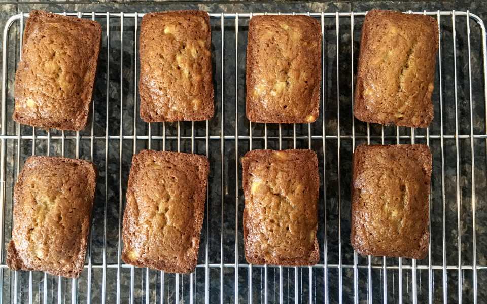 photo by SeattleLori