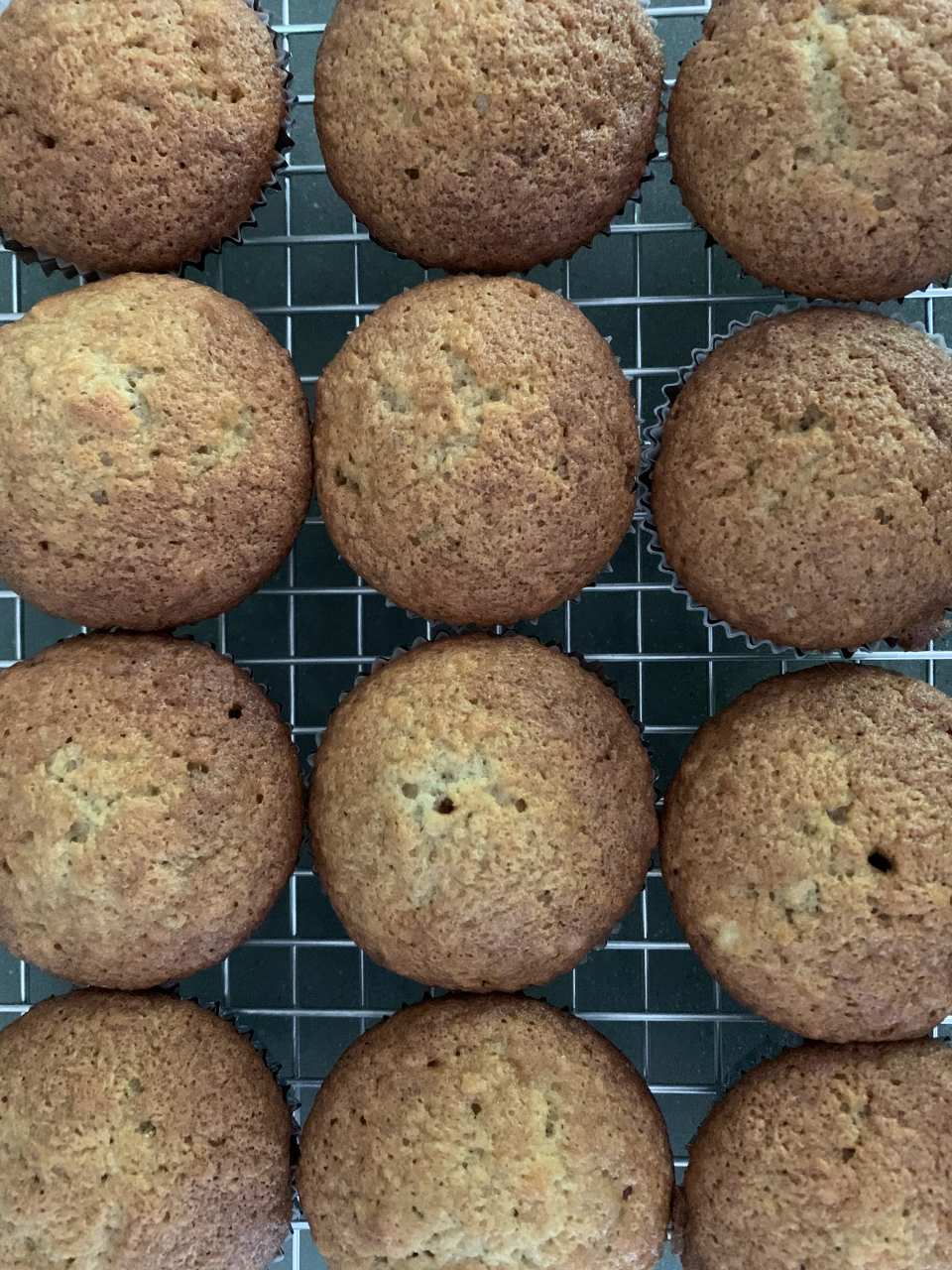 photo by joannerietta