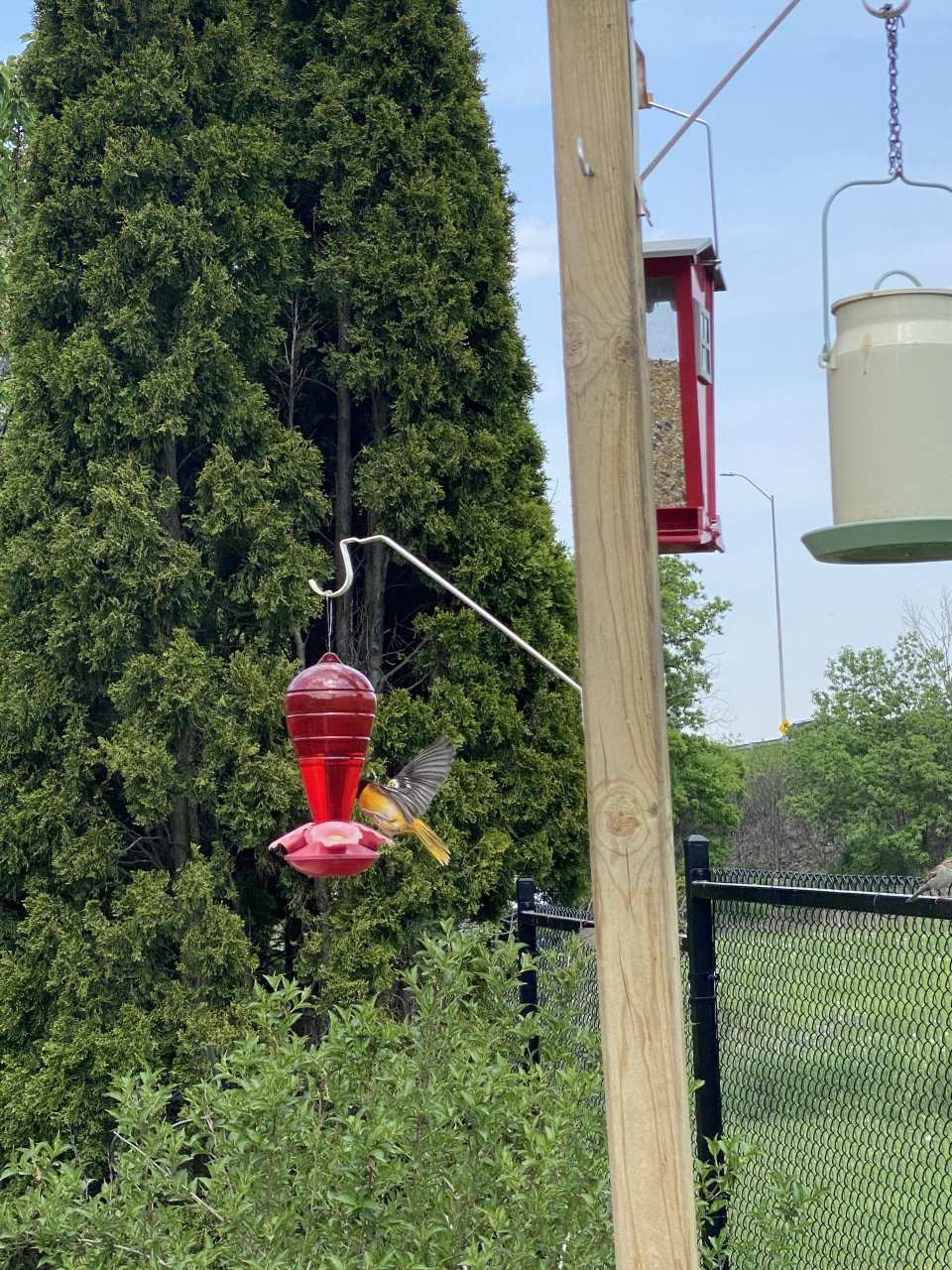 photo by cassandraonline