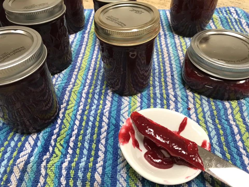 photo by Patti Melia Easton