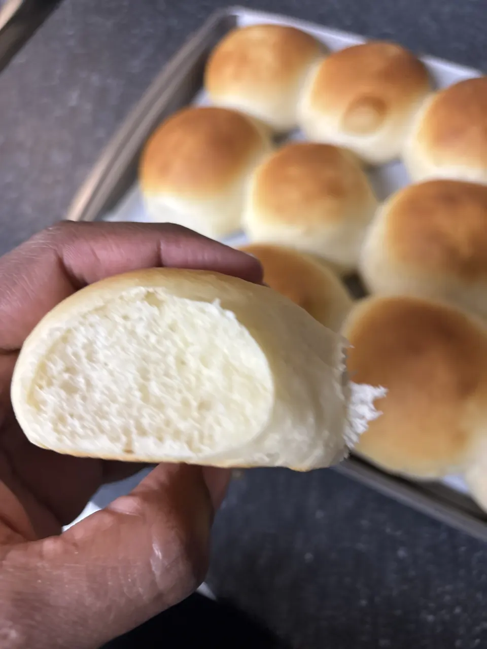 Powdered Milk Dinner Rolls Recipe - Food.com