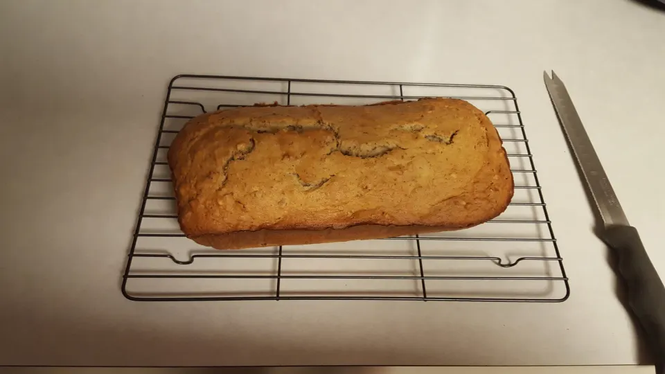 photo by coconut101511