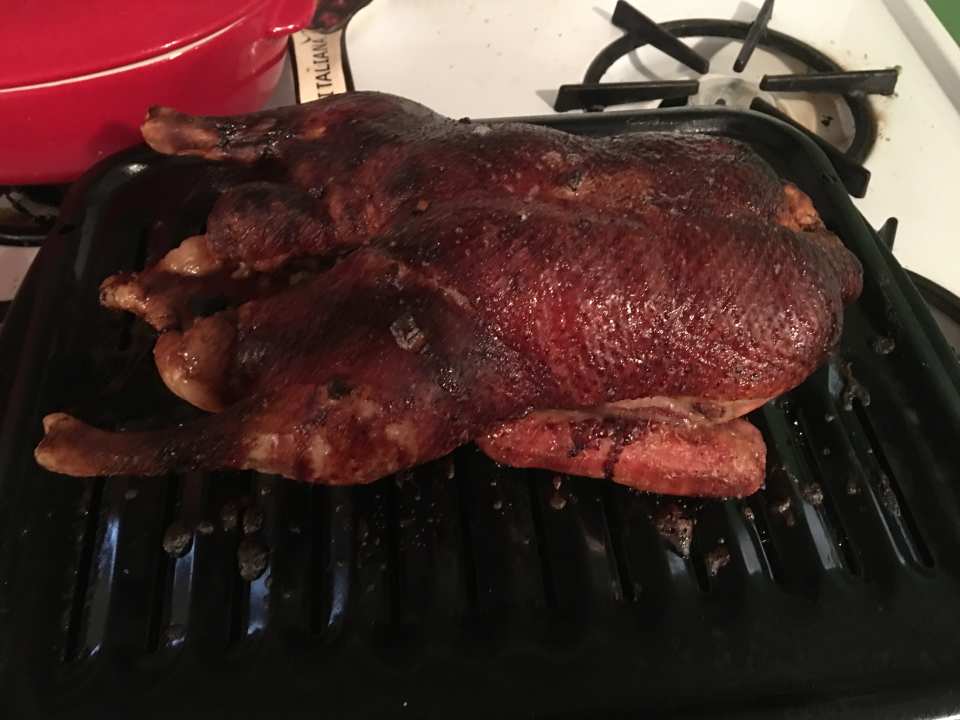 photo by jmpac1_12401147