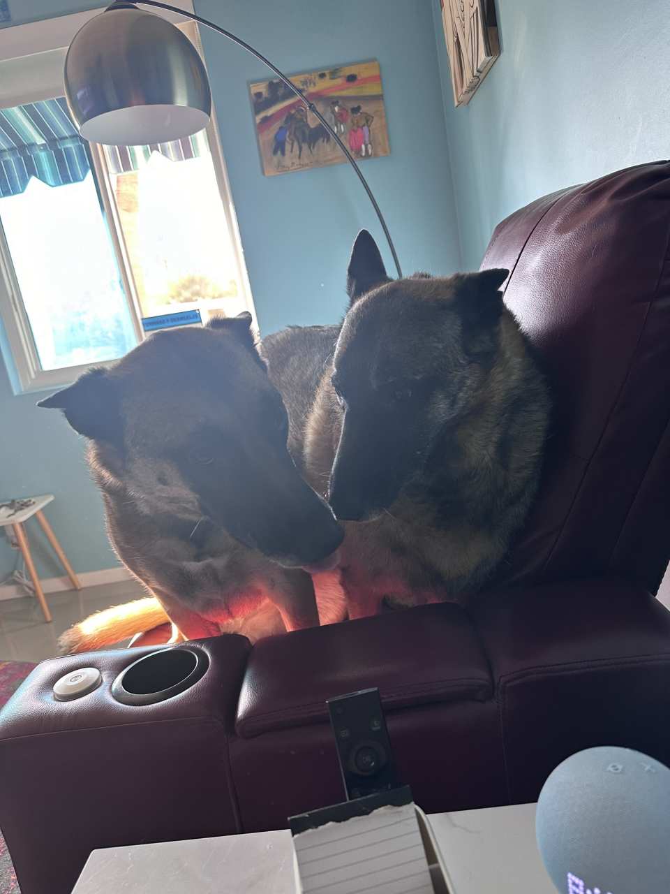 photo by palmspringstd