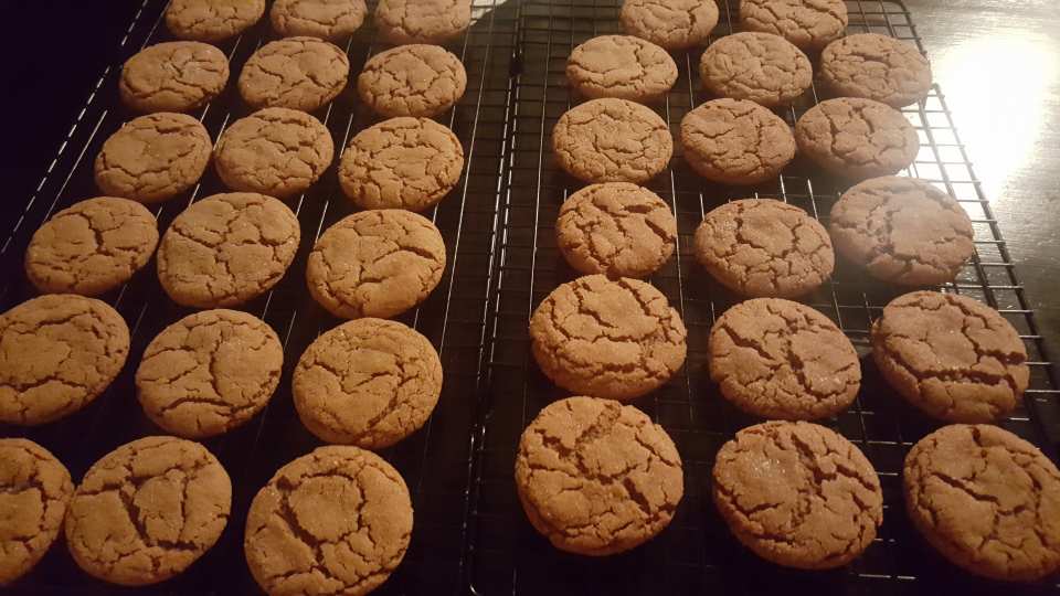 photo by Adrienne C.