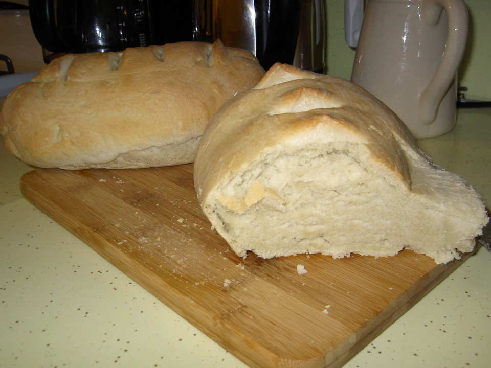 photo by jodi63_12415878