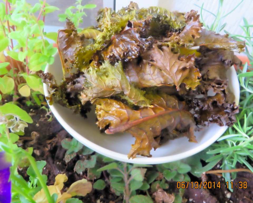 photo by Bonnie G #2