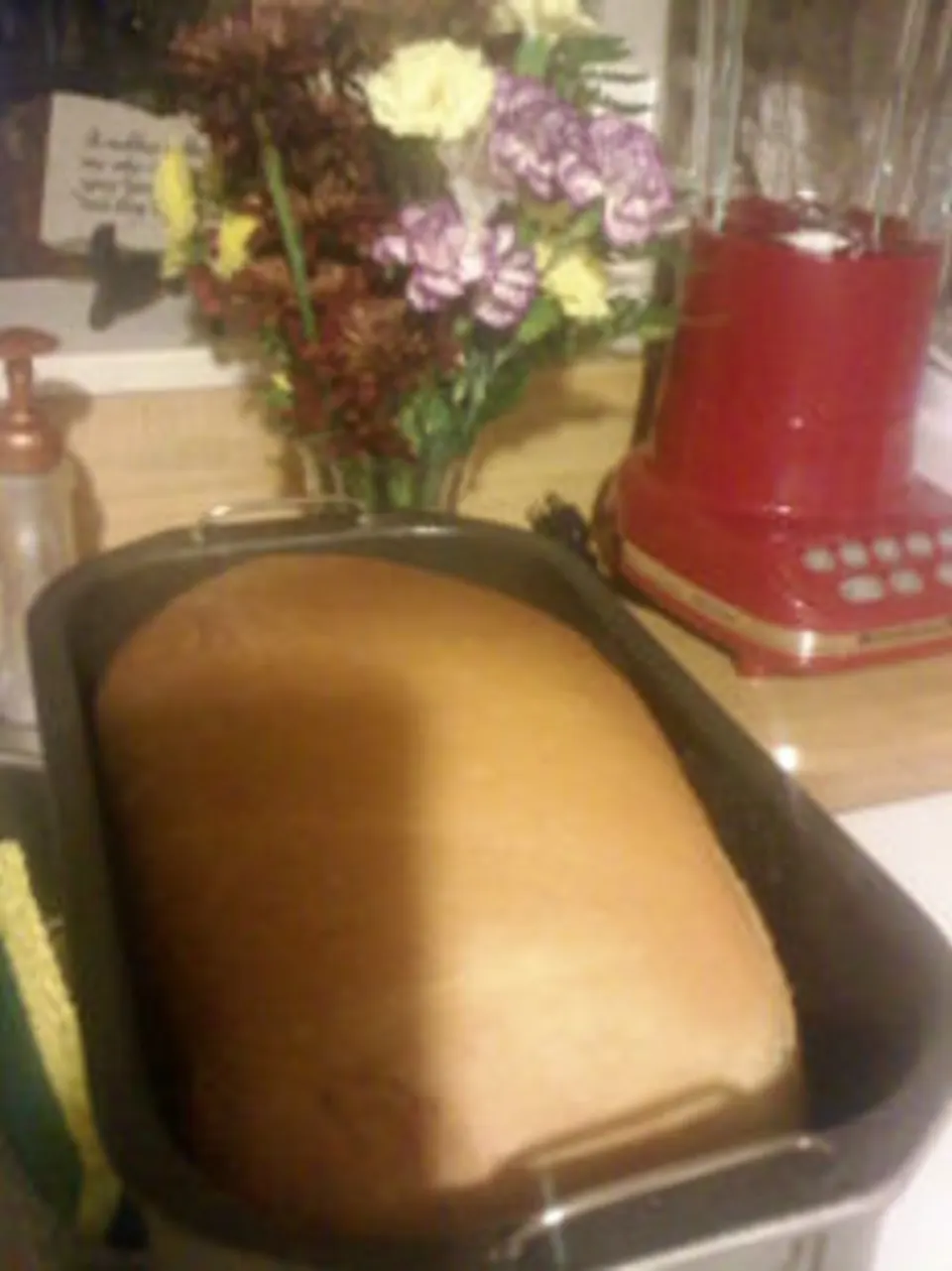 photo by Adrienne in Reister