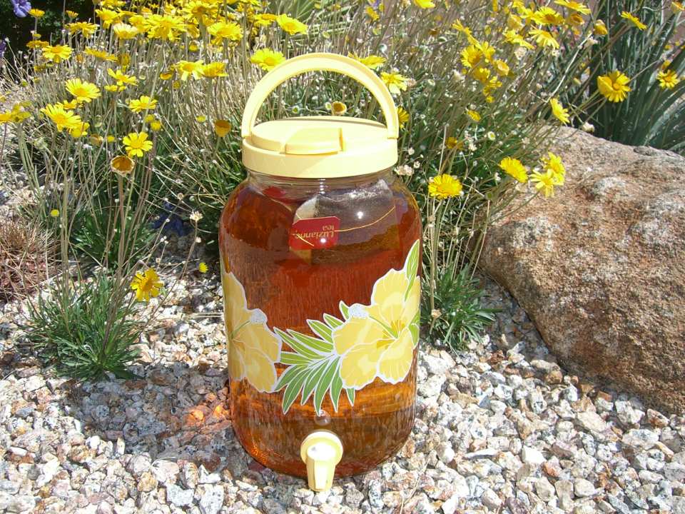Sun Tea Recipe - Food.com