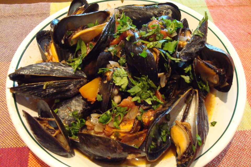 Mussels in Half Shells With Cilantro and Tomato Recipe - Food.com