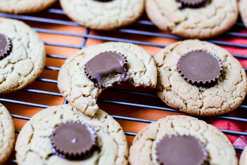 photo by Ashley Cuoco