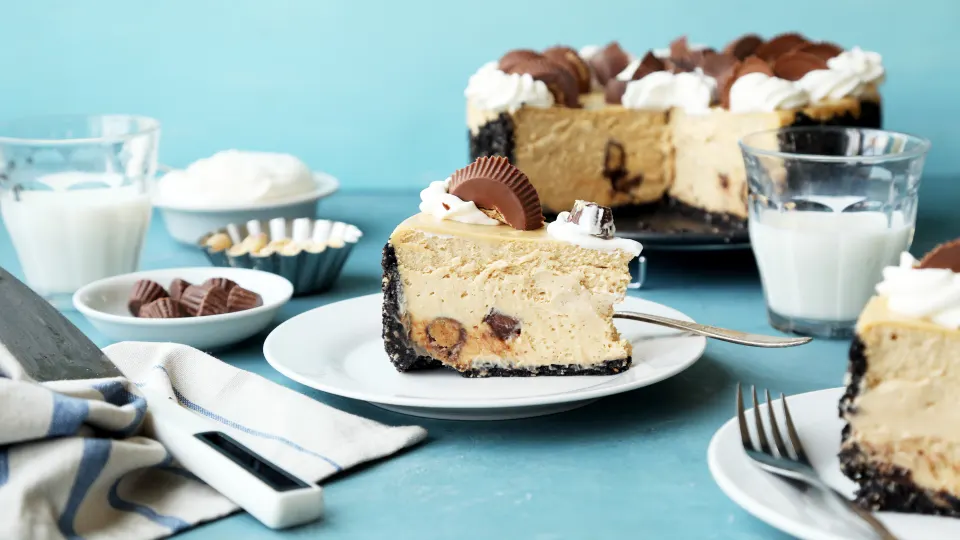 photo by Jonathan Melendez 