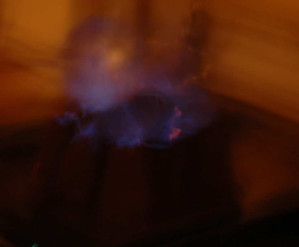 photo by Sweetiebarbara