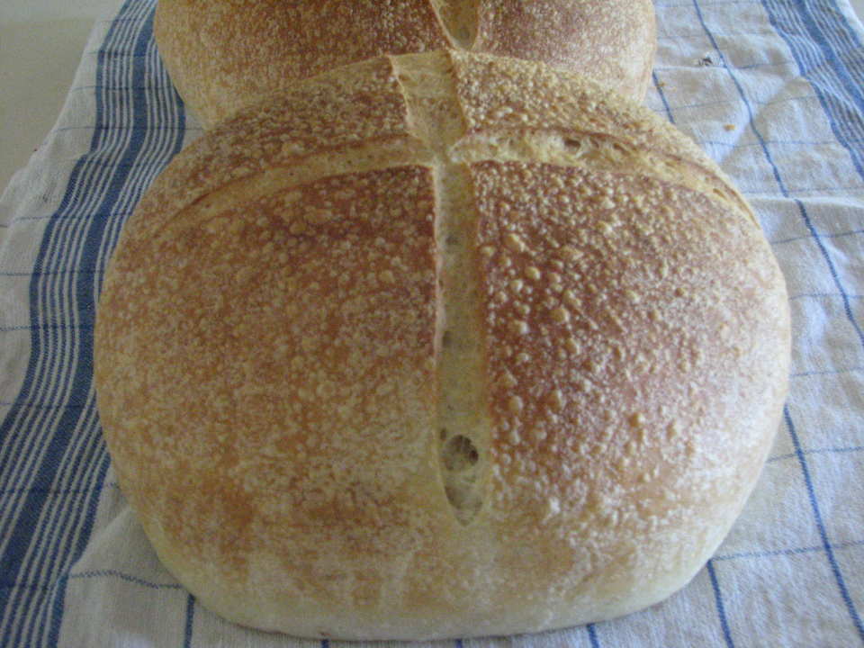 photo by Bonnie G #2