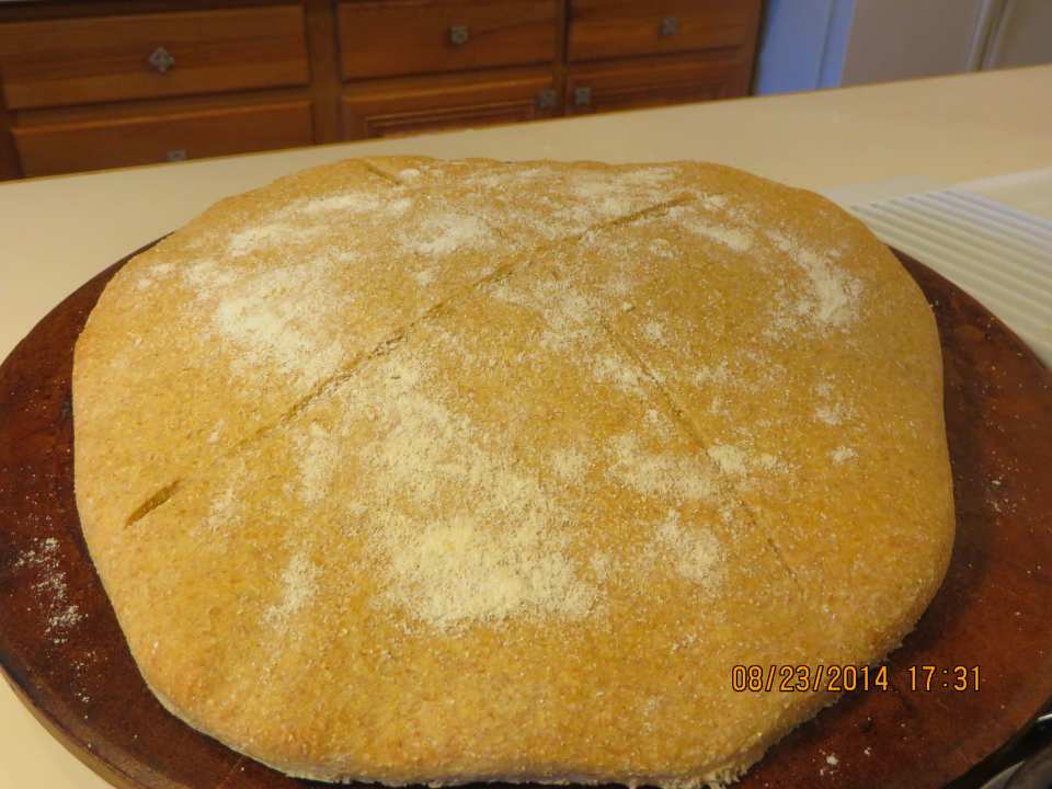 photo by Bonnie G #2