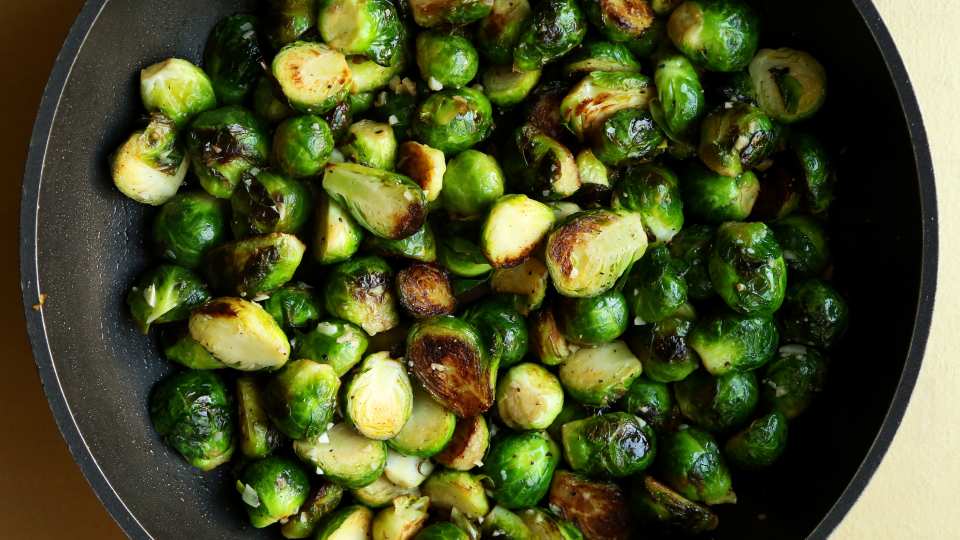 photo by Jonathan Melendez 