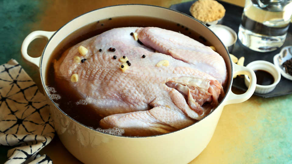 photo by Jonathan Melendez 