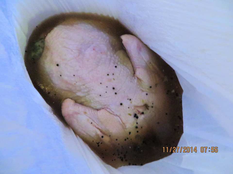 photo by Bonnie G #2