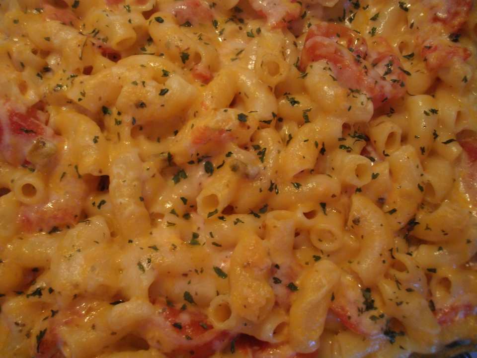 photo by Cindi-Marie-Bauer