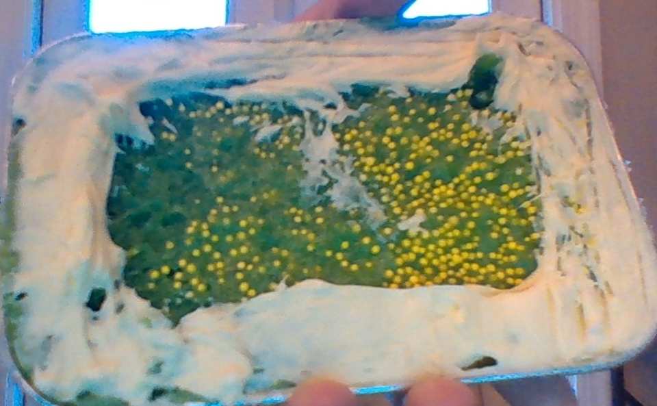 photo by Bob Bob Bob