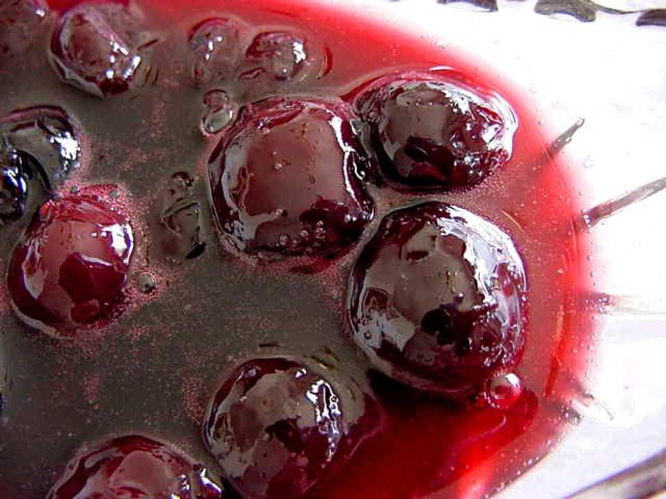 photo by Marg (CaymanDesigns)