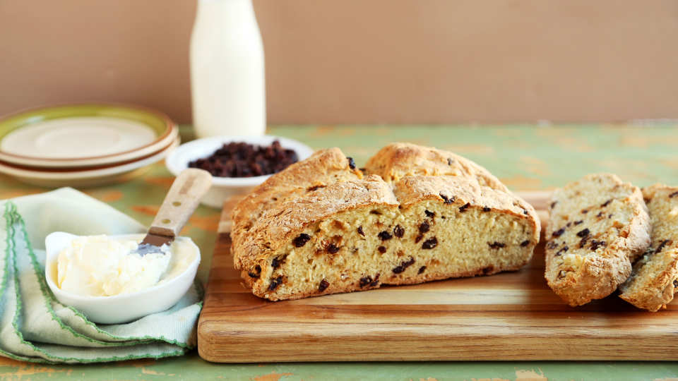 photo by Jonathan Melendez 