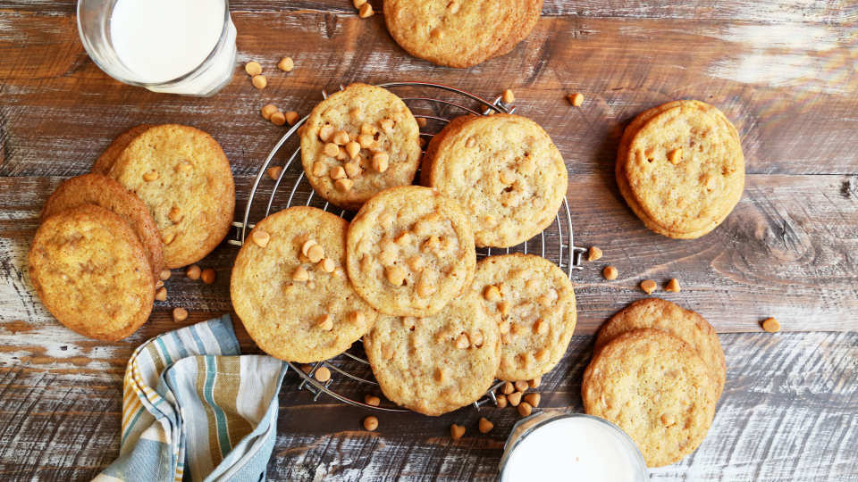 photo by Jonathan Melendez 