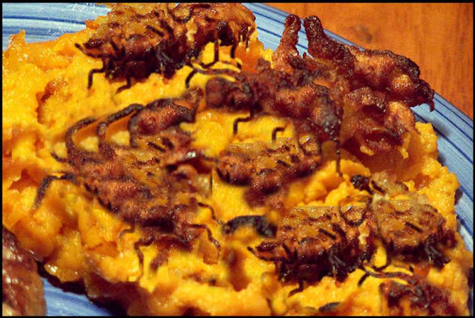 photo by ncmysteryshopper