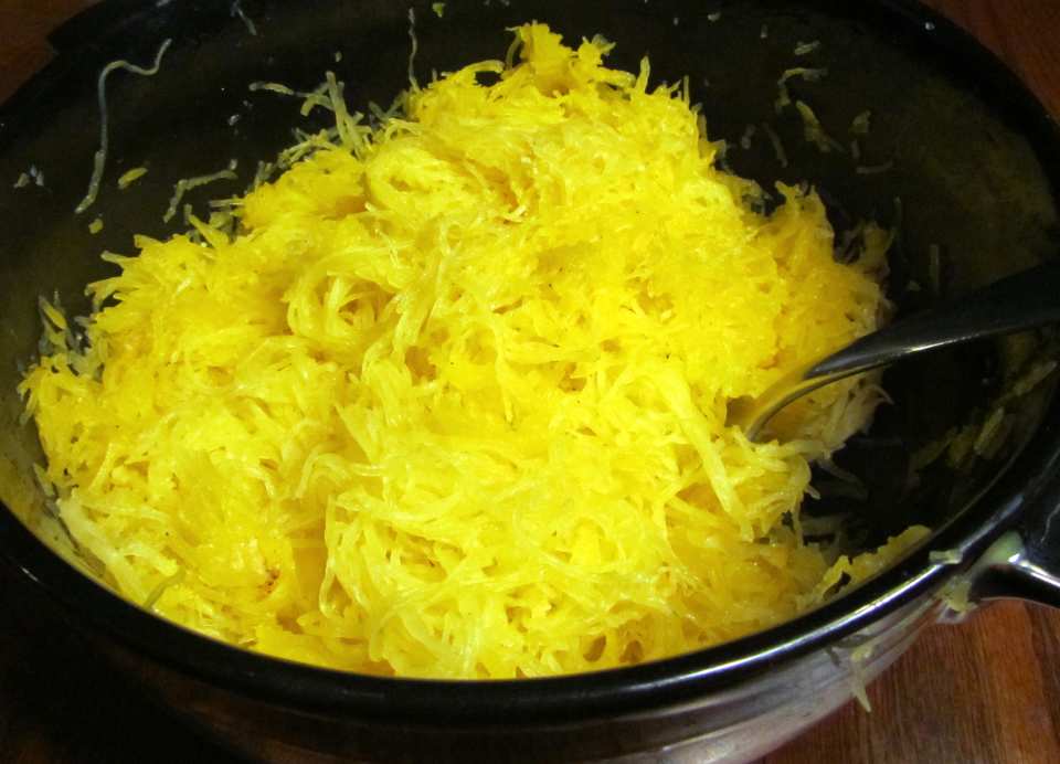 photo by Dr.JenLeddy