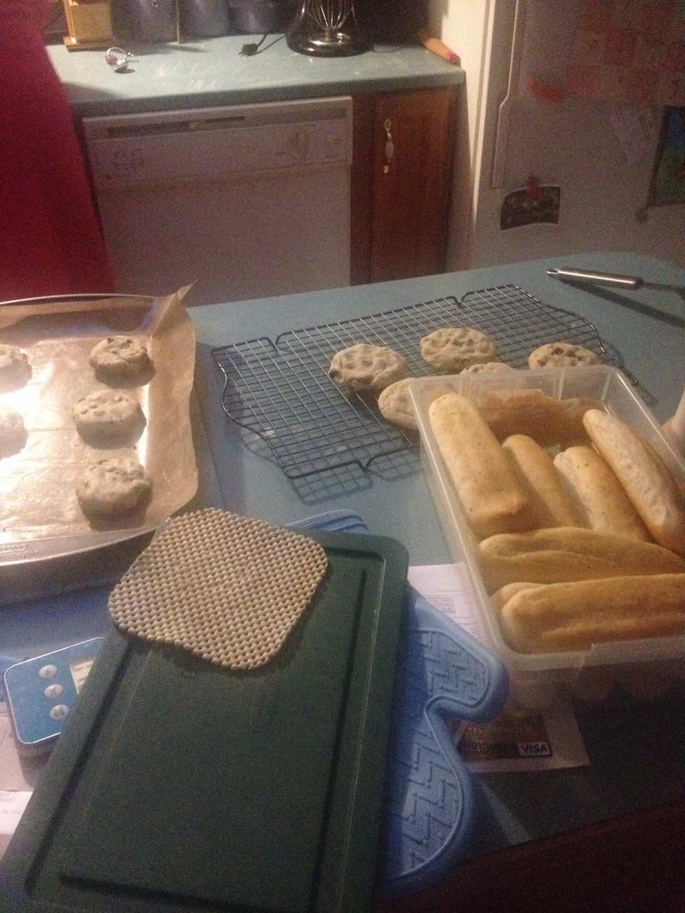 photo by sammy.goose