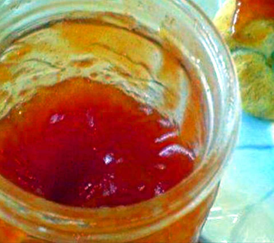 photo by Something to Chu On