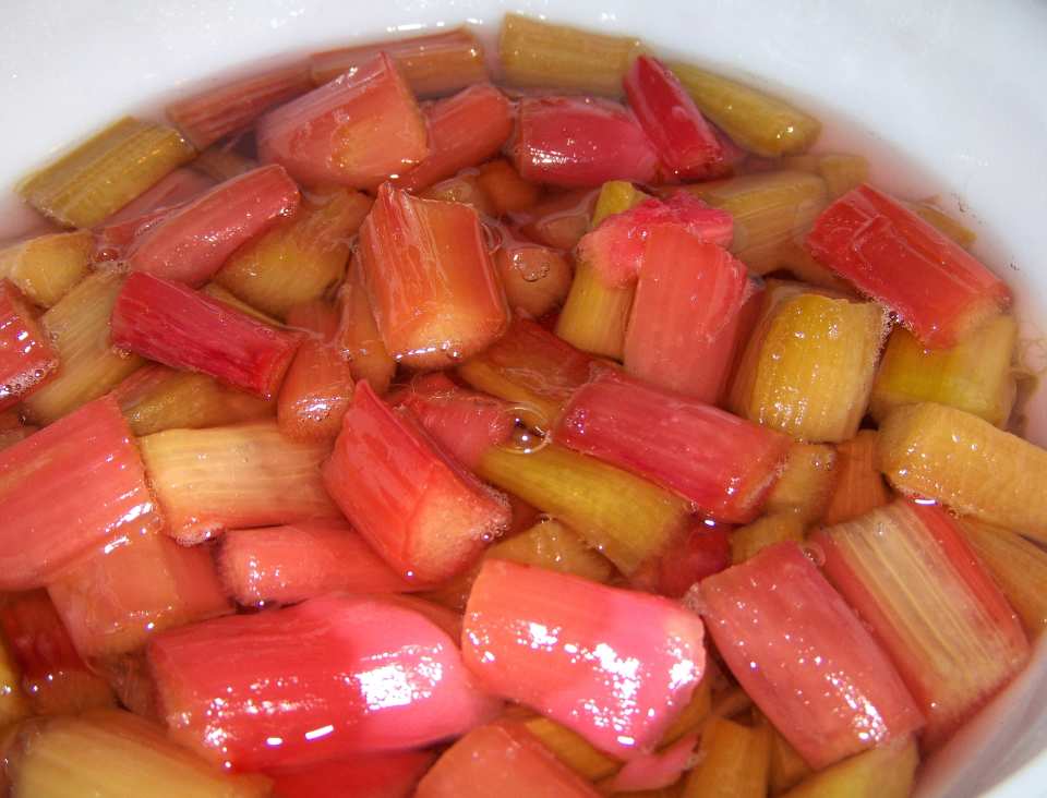 photo by Elly in Canada