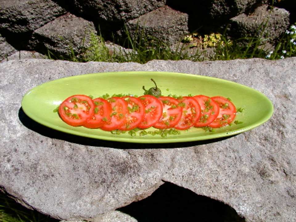 photo by Mrs Goodall