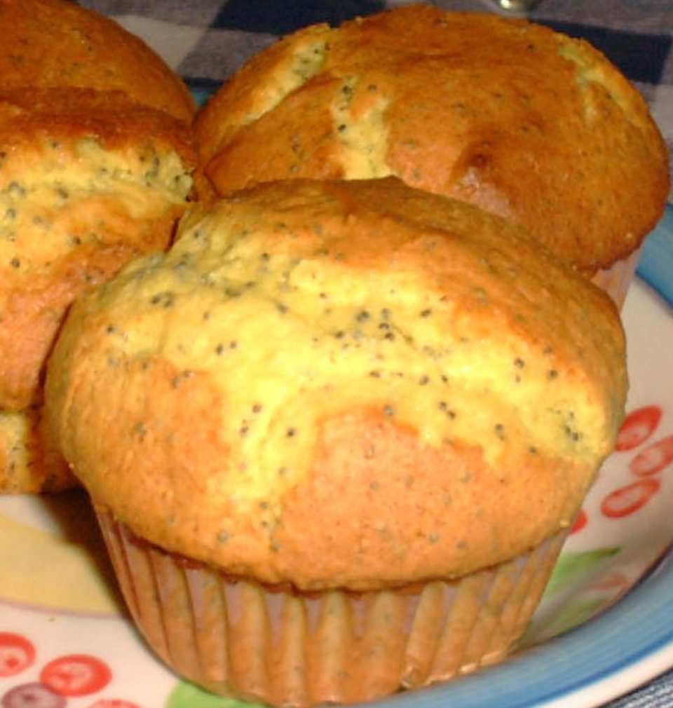 photo by Troop Angel