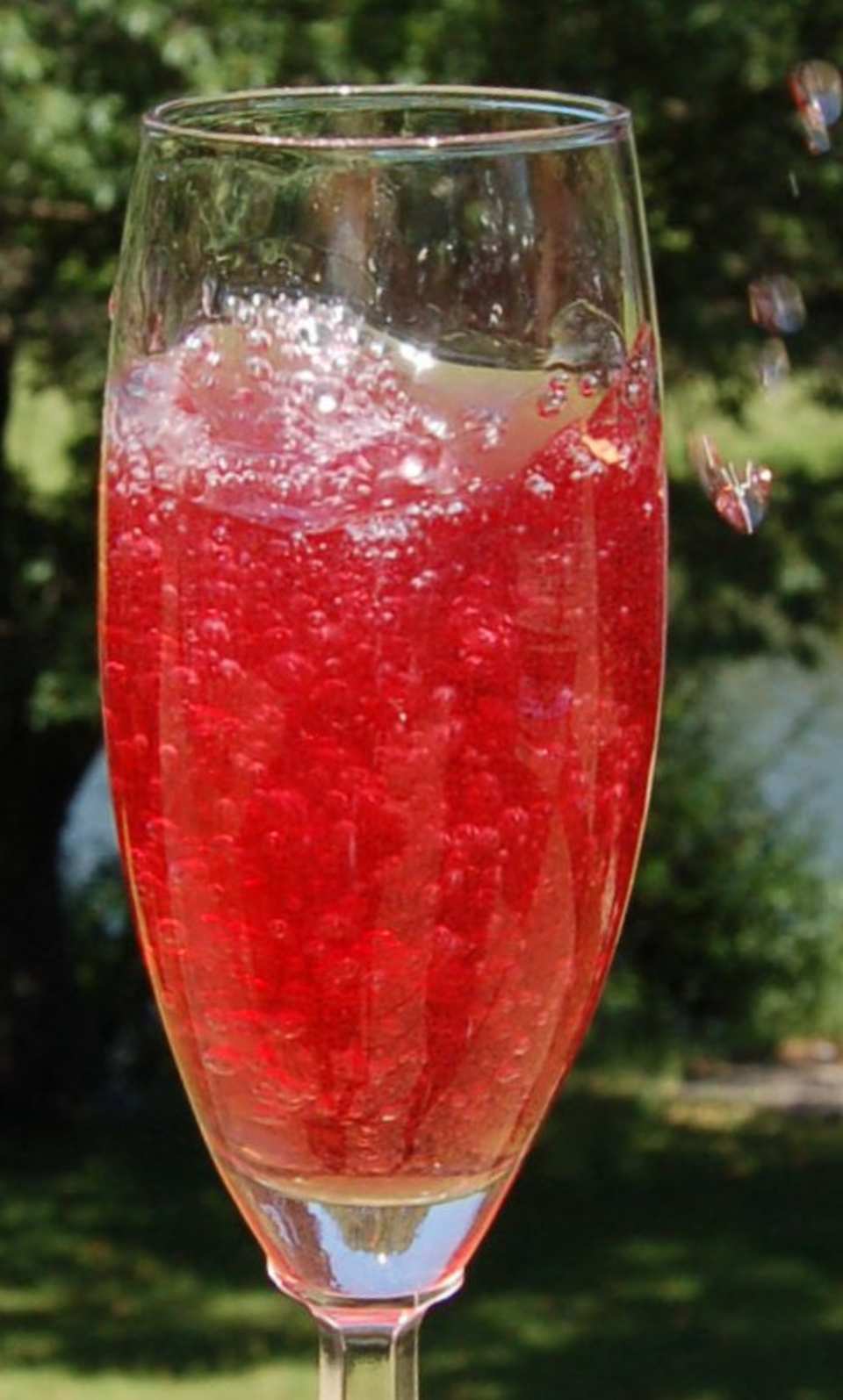 photo by Queen Dragon Mom