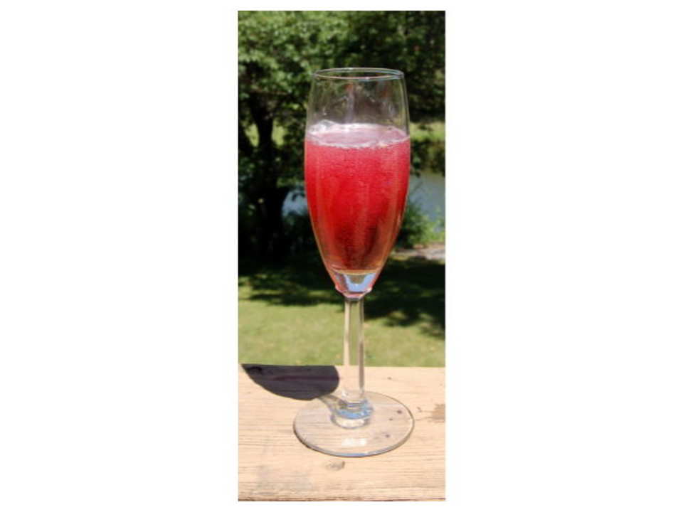 photo by Queen Dragon Mom