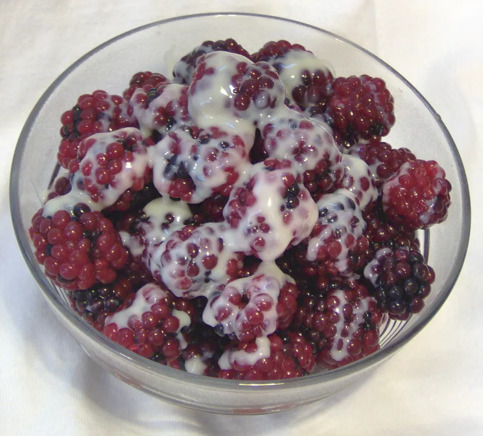 Raspberries and Sweetened Condensed Milk Recipe - Food.com