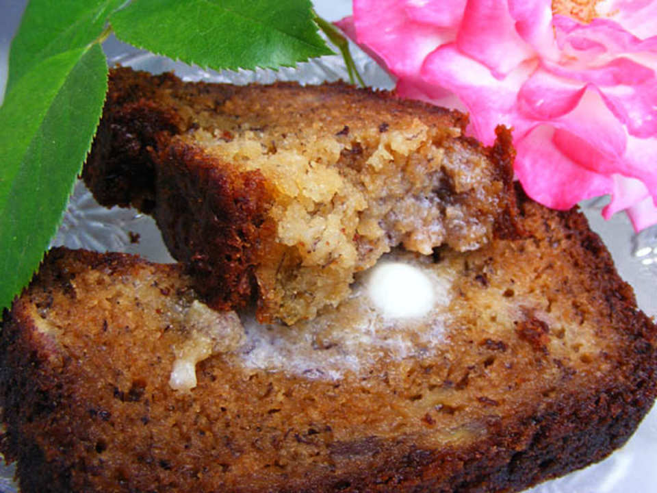 photo by Lavender Lynn