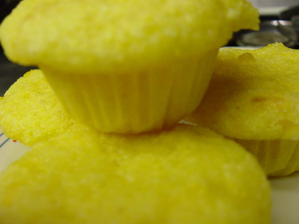 photo by Michelle Berteig