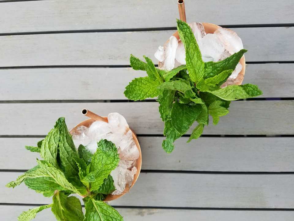 photo by A Marsteller