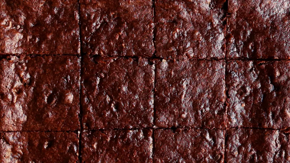 photo by Jonathan Melendez 