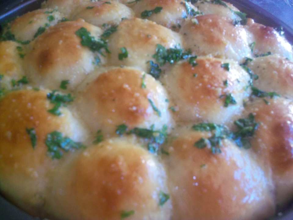 photo by thepetnanny