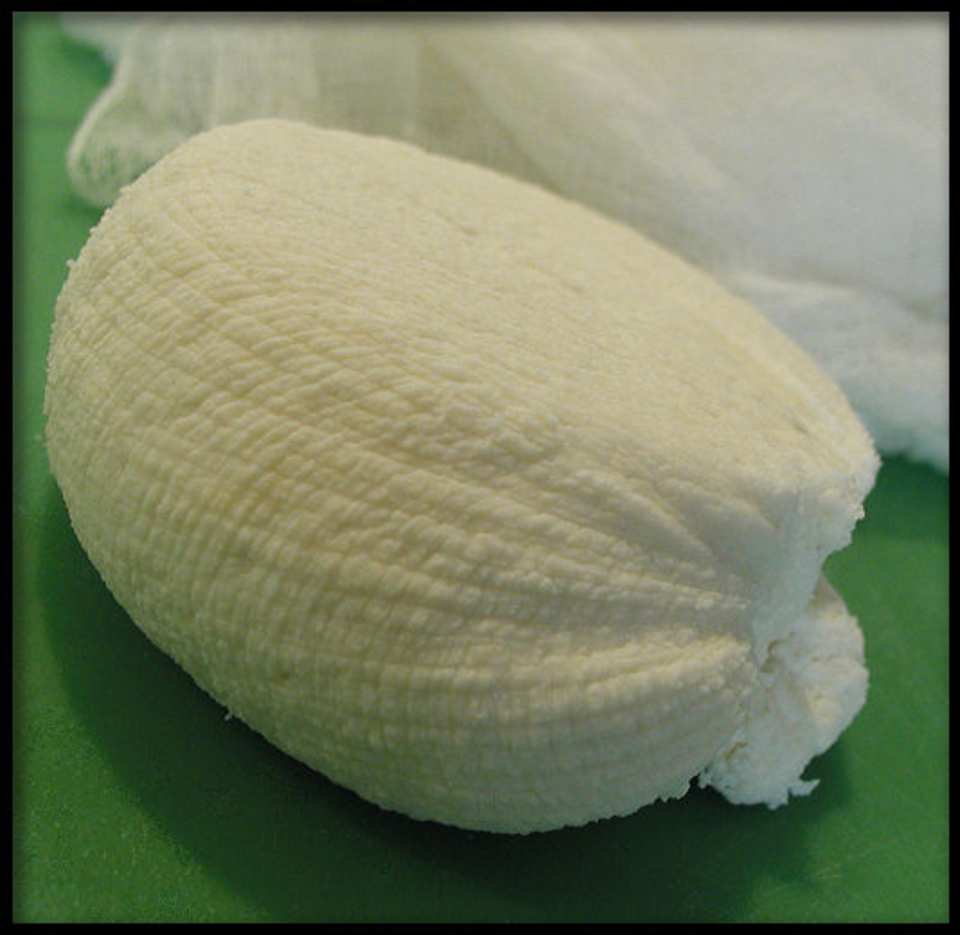 Homemade Paneer (Panir - Indian Cheese) Recipe - Food.com