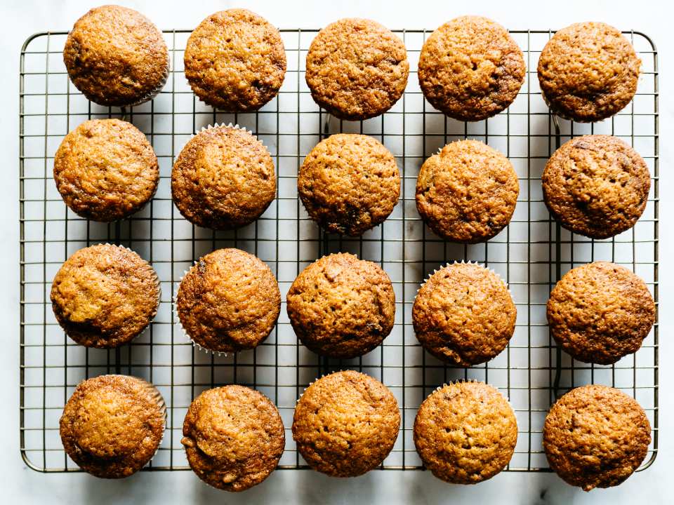 photo by Alana Kysar  Fix Fe