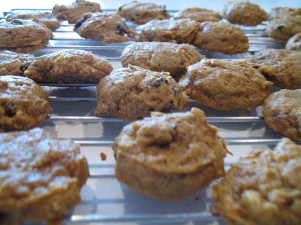 photo by superblondieno2