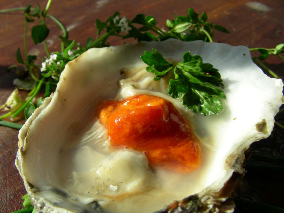 photo by Andi Longmeadow Farm