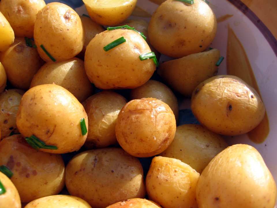 photo by Dreamer in Ontario