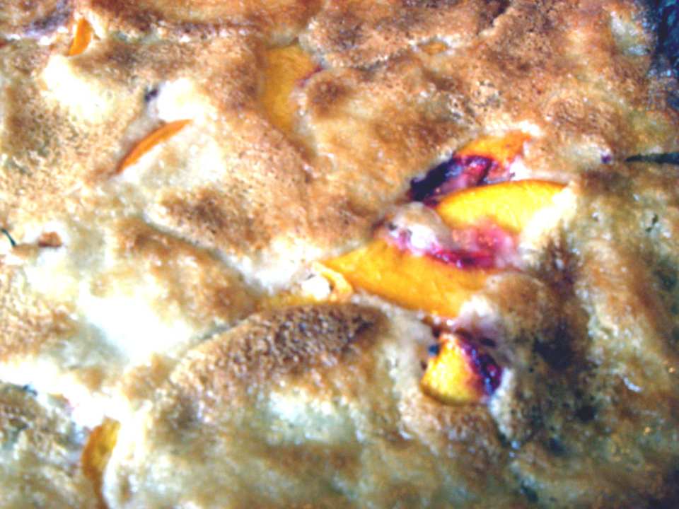 photo by mary winecoff